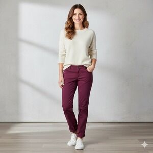 Banana Republic Ryan Fit Burgundy Chino Pants Cropped Ankle - Size 4